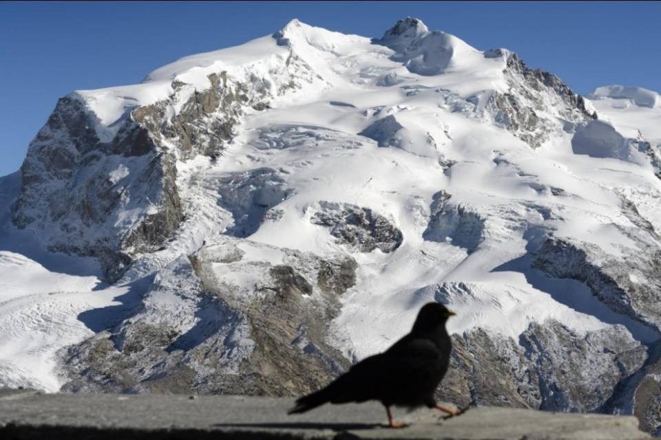 Sei morti sul Monte Rosa