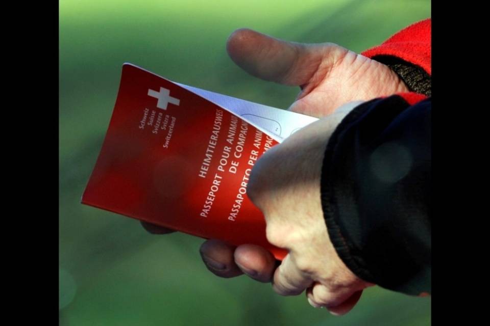 "Non conosce la lingua e il territorio": naturalizzazione negata