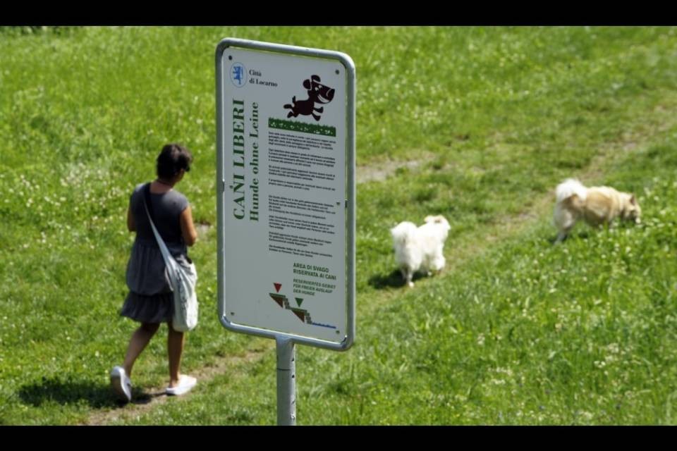 Maggia, 2'700 firme per l'area di svago per i cani