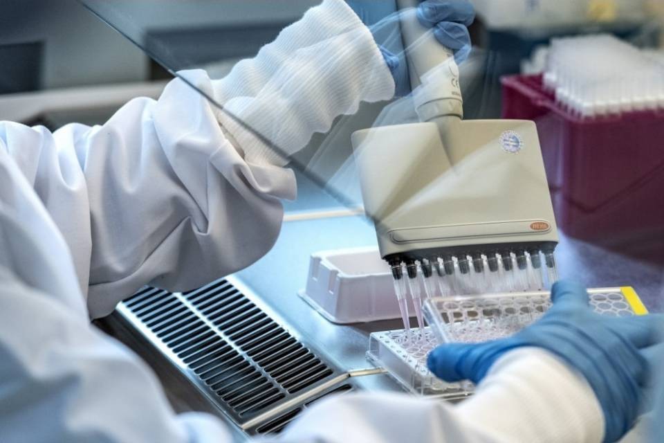 Due proteine 'intelligenti' che uccidono i tumori