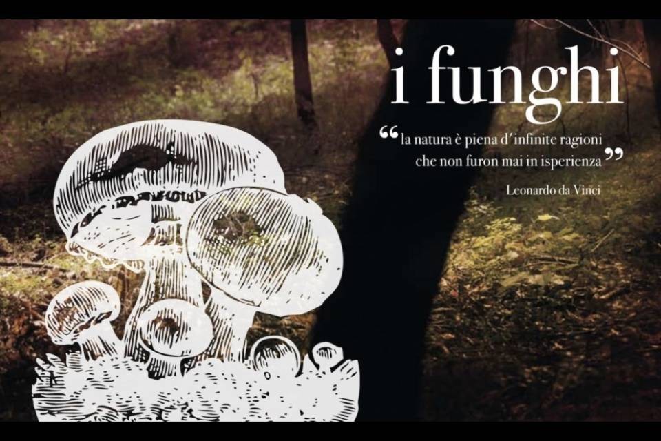 I funghi protagonisti al Ristorante Buffet della Stazione