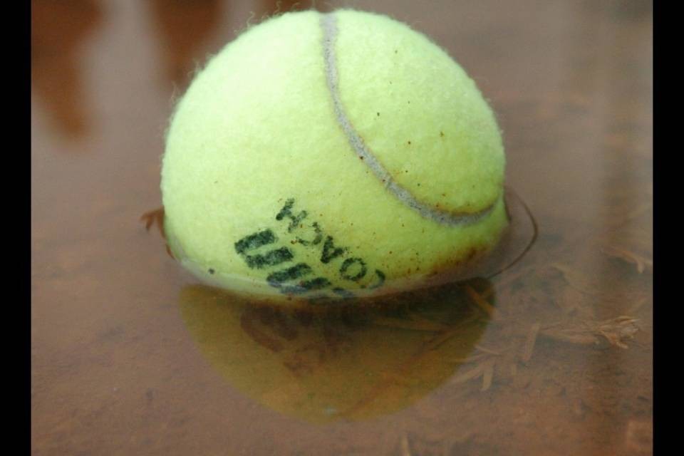 Tennisgate, "ecco i nomi"
