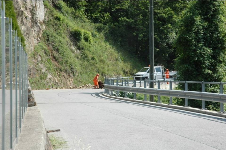 Caduta massi a Bosco Luganese