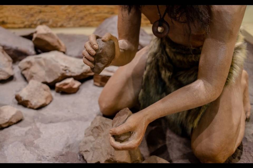 I Neanderthal si sono estinti a causa di un calo di fertilità
