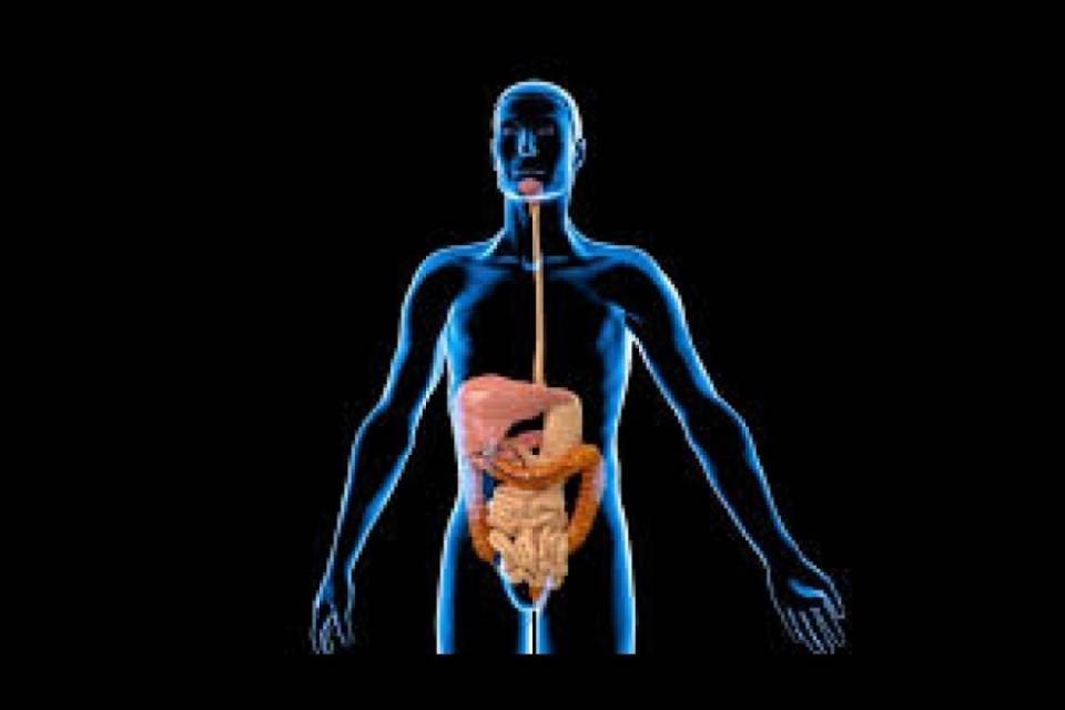 Nuove terapie e tecnologie nella presa a carico delle patologie digestive