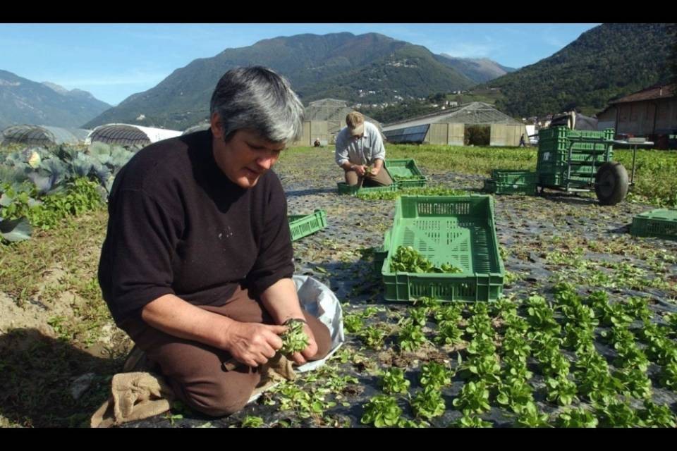 Meno domeniche libere nel settore agroalimentare