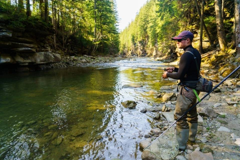 Limitare la pesca? "Sì, ma solo dove i pesci soffrono"
