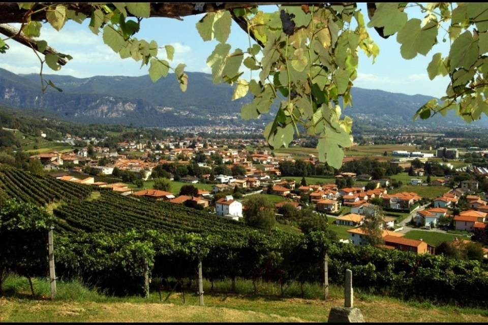 "Chiasso e Mendrisio insieme? Forse fra 200 anni!"
