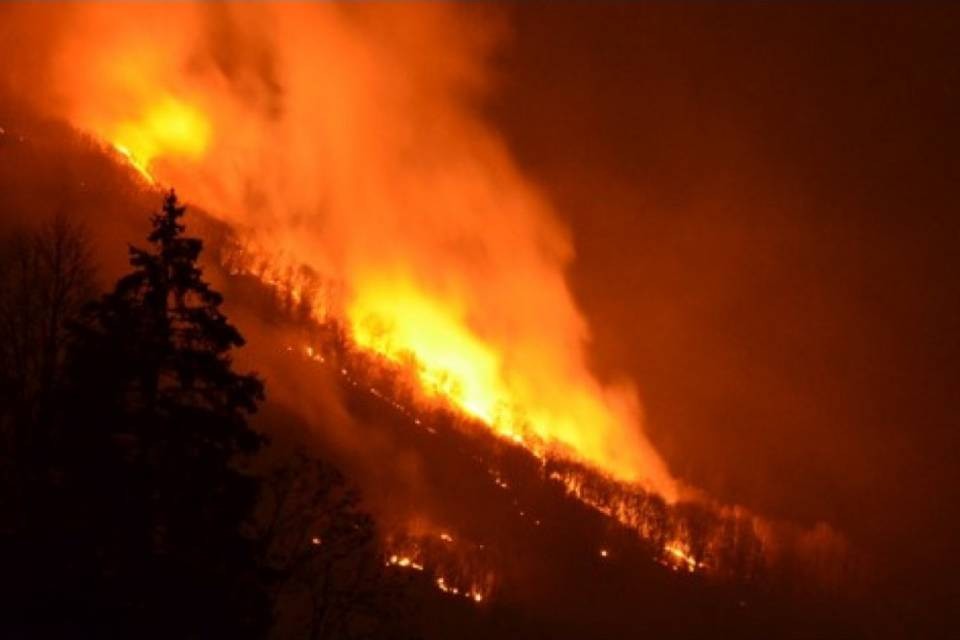 Da domani vietato accendere fuochi all'aperto