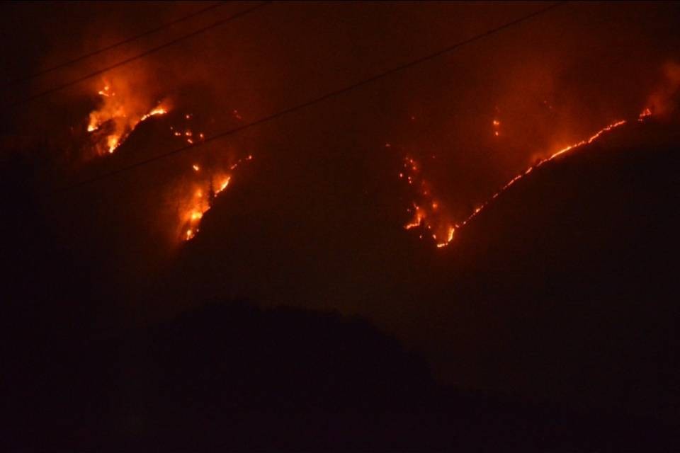 Chironico, il bosco di protezione si è salvato