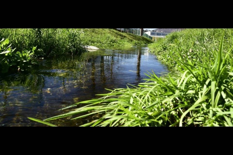 3,5 milioni per scongiurare pericoli legati all'acqua
