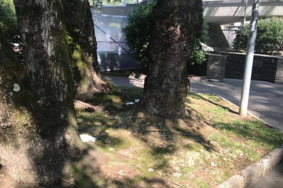 Bagno pubblico chiuso, Piazza Molino Nuovo diventa una toilette a cielo aperto