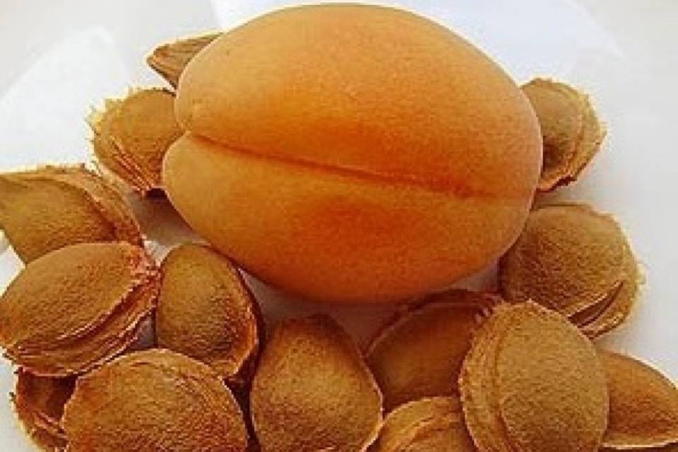 "Non consumate noccioli di albicocca Gesund und Leben"