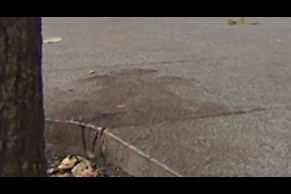 Bellinzona, fermato l'autore del pestaggio