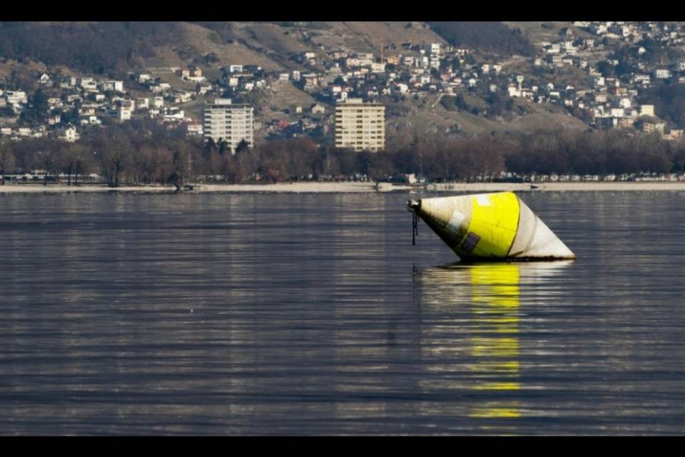 Contaminanti nei pesci del Verbano