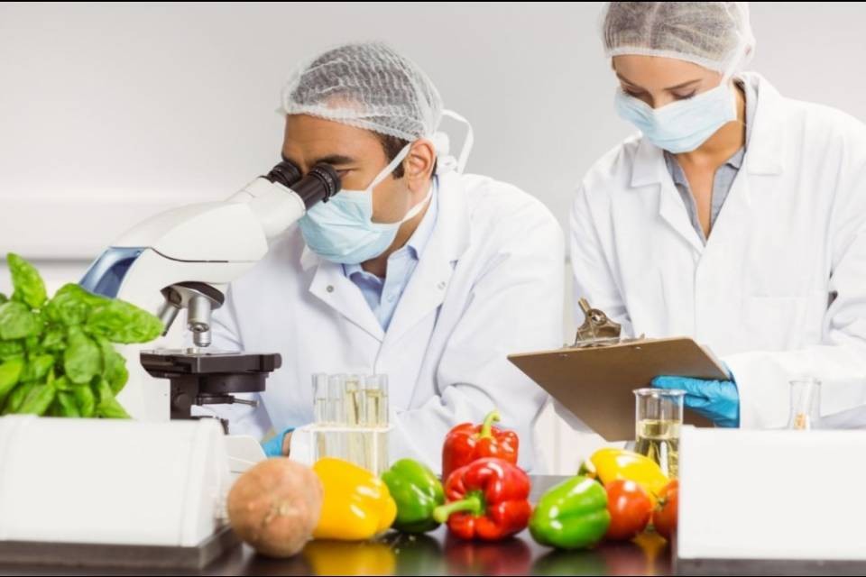 Oggi è la prima giornata sulla sicurezza alimentare