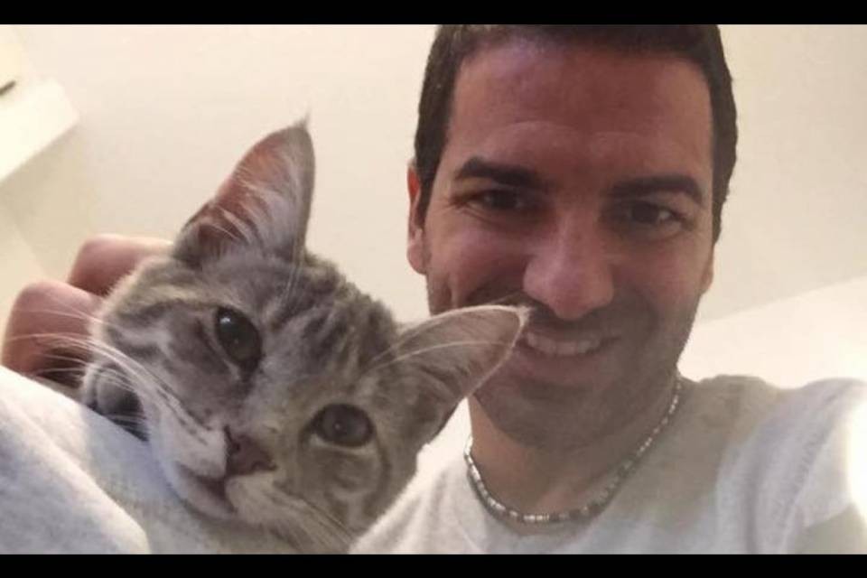 Non si trova la gattina Jet: qualcuno l'ha vista?
