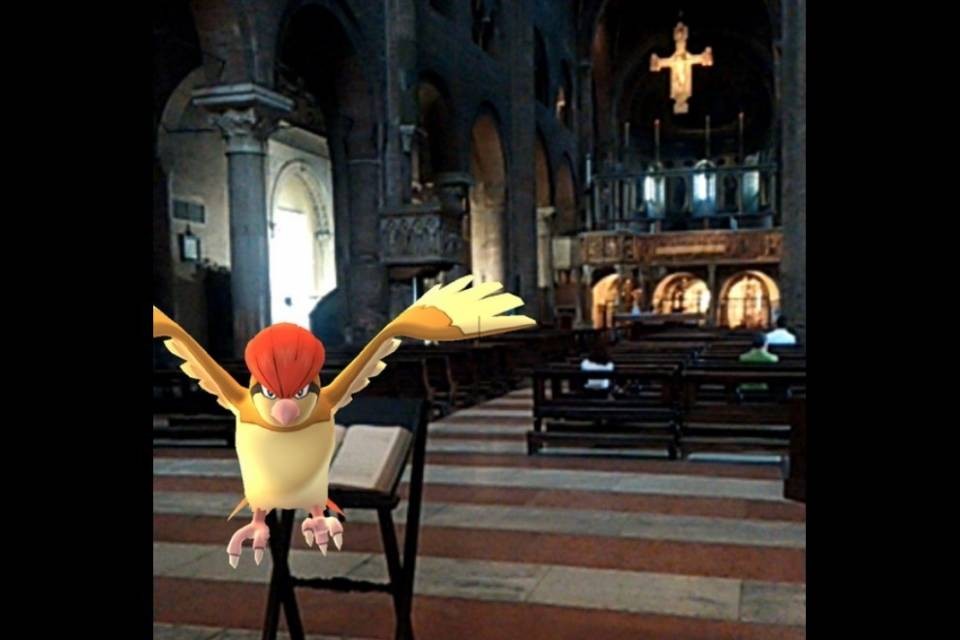 "I Pokemon non si possono salvare, fermiamoli!"
