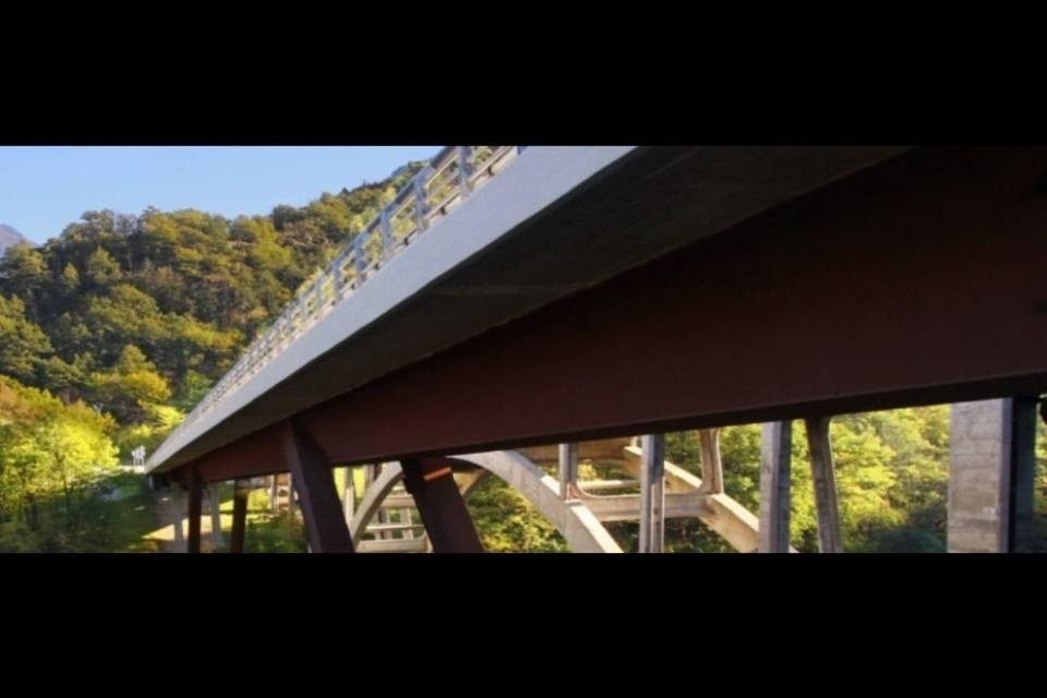 “Anche in Svizzera ci sono dei ponti da risanare”