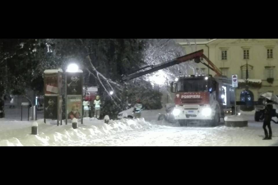 Rami cadono a causa della neve danneggiando dei veicoli