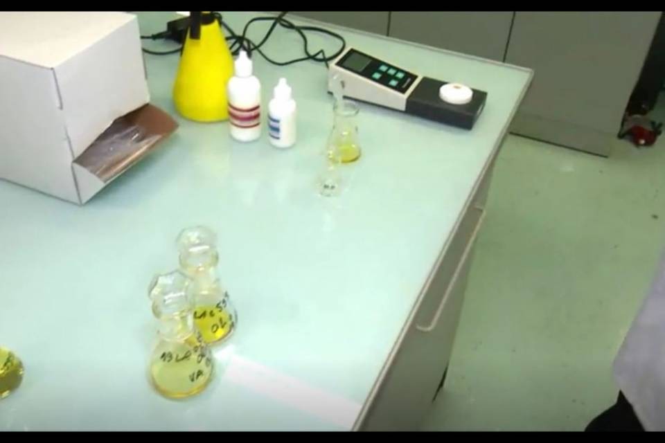 Olio indigesto, "Da domani più take away saranno in ordine"