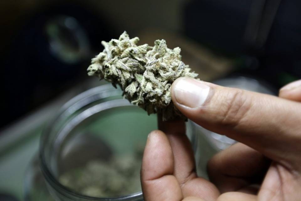 Maxi sequestro di marijuana in dogana