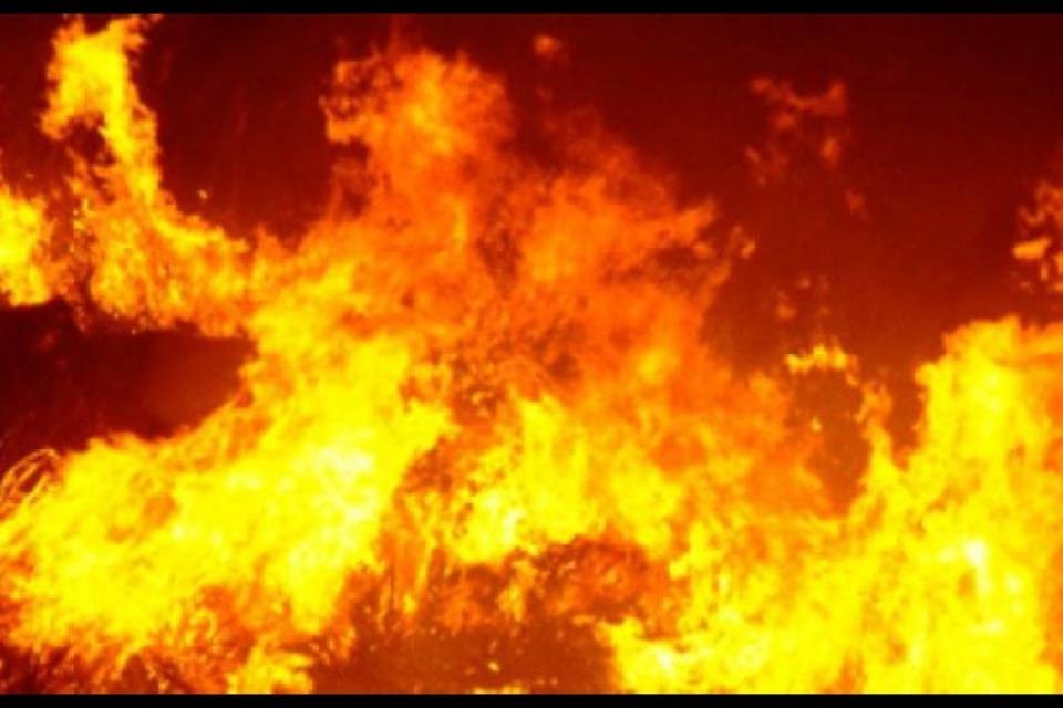 Sei auto in fiamme al Paléo Festival
