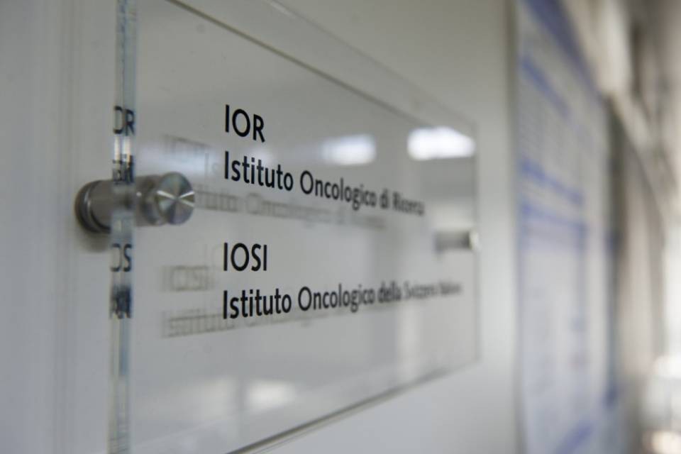 Allo IOR un nuovo progetto di ricerca sulla leucemia