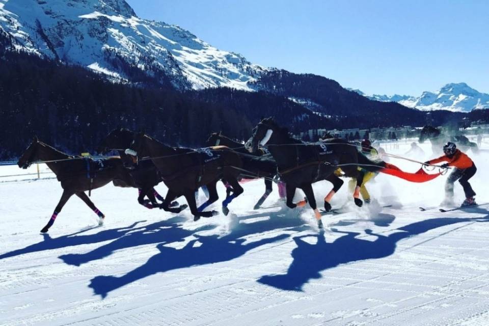 Incidente al White Turf, fantino ferito e cavallo soppresso