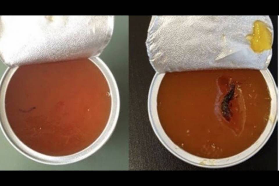 Vermi nella marmellata, scoppia la polemica