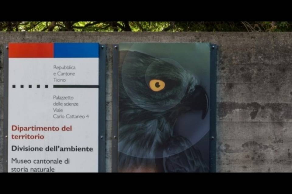 Museo di storia naturale, decisione imminente