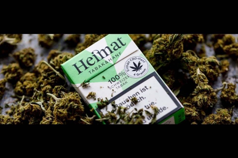 Niente canapa light a Lugano