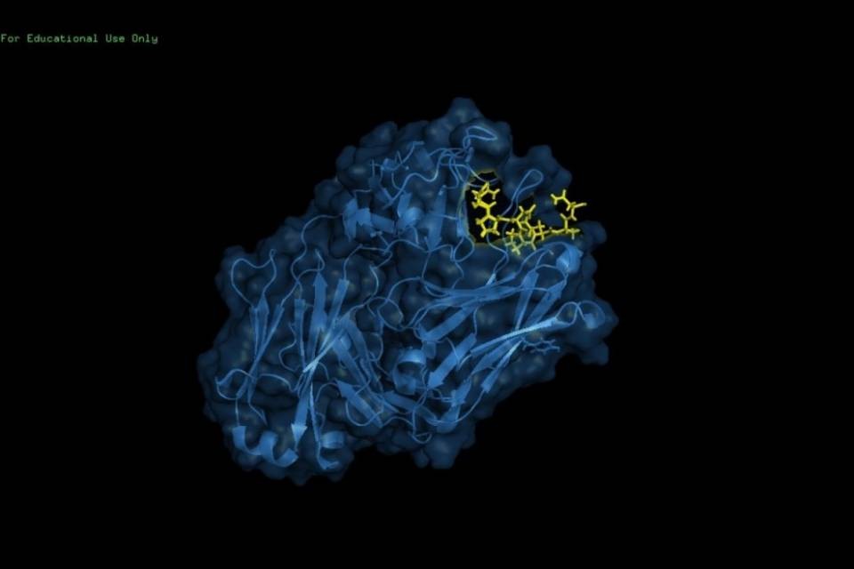 Passi avanti nella lotta alla malaria