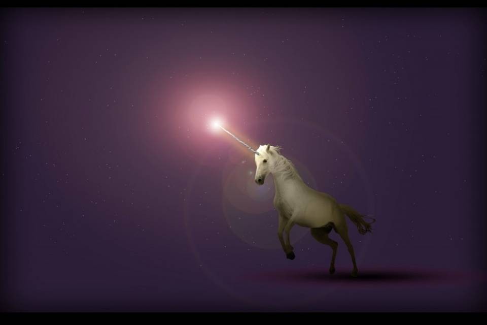 Intervento di Polizia per un unicorno a Winterthur