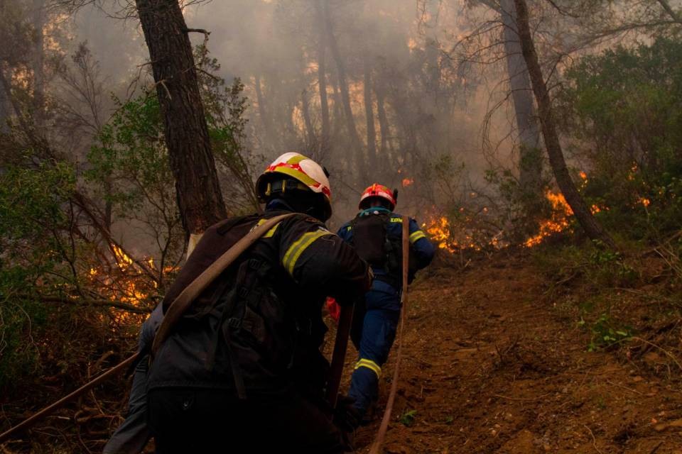 Foto Shutterstock
