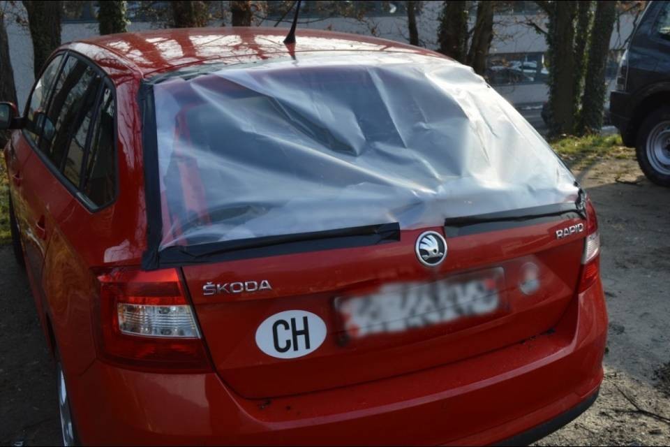 A processo i due piromani di Gravesano