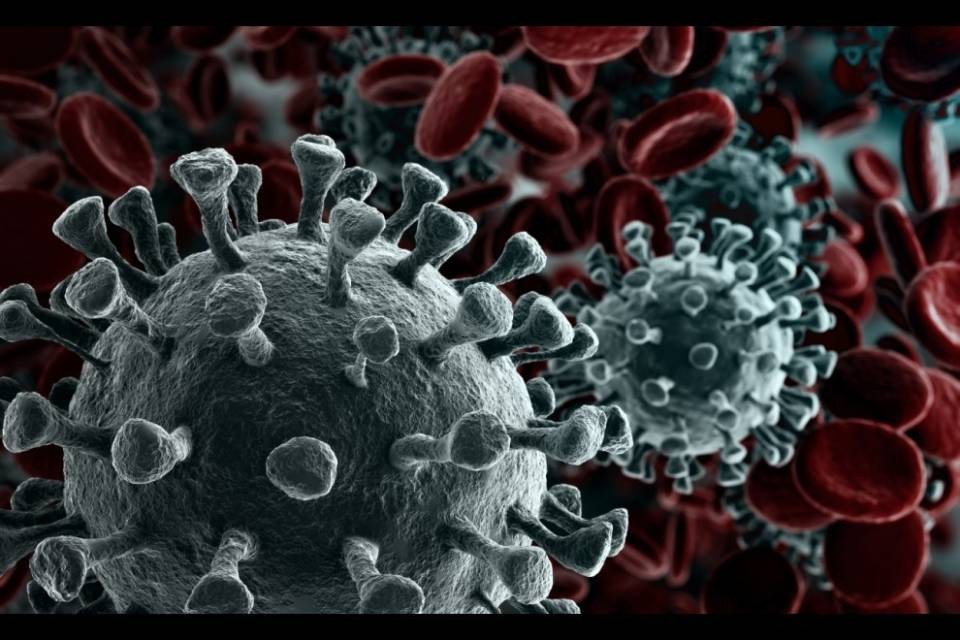 "Il virus ha iniziato a diffondersi dopo le vacanze di carnevale"