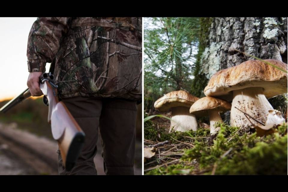 Cacciatori e fungiatt, come convivere