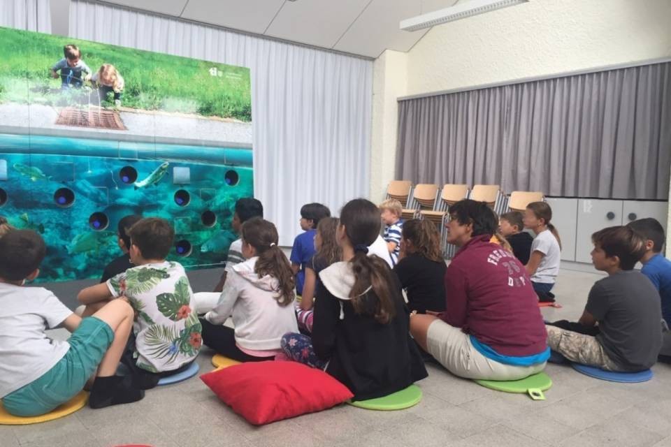 Il DT a scuola per StaBIOlogico