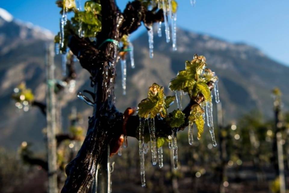 Mattina gelida in Svizzera