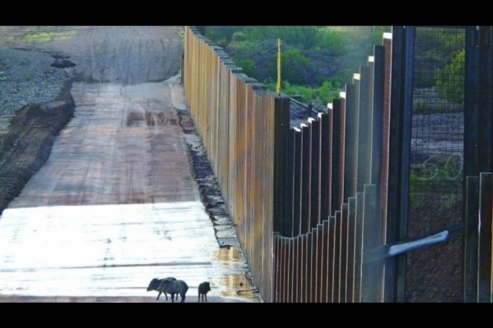 Un muro in Colorado? Trump: "Scherzavo"