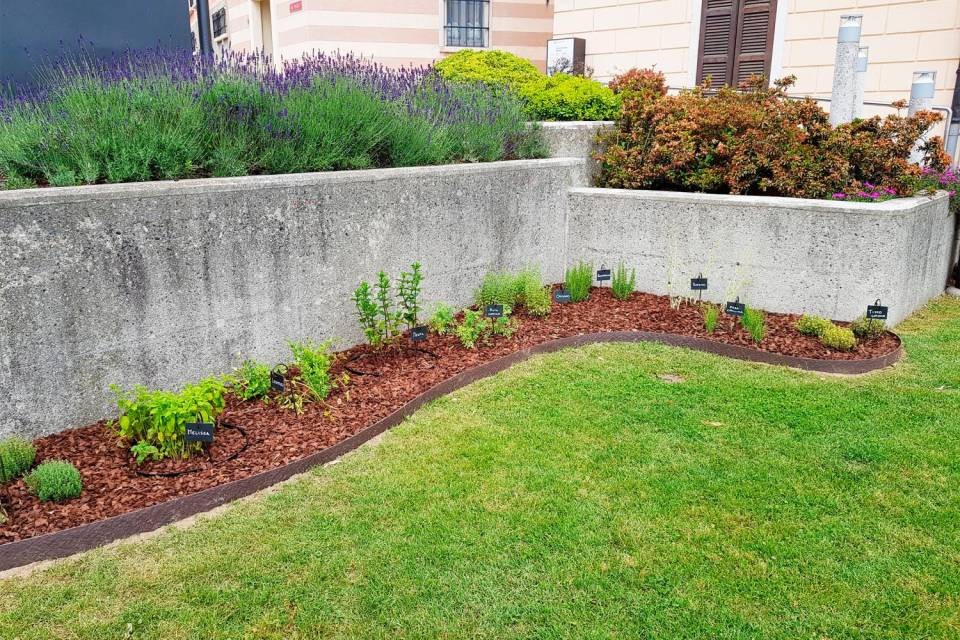 L’aiuola aromatica sorta a Besazio nel giardino della Casa comunale.