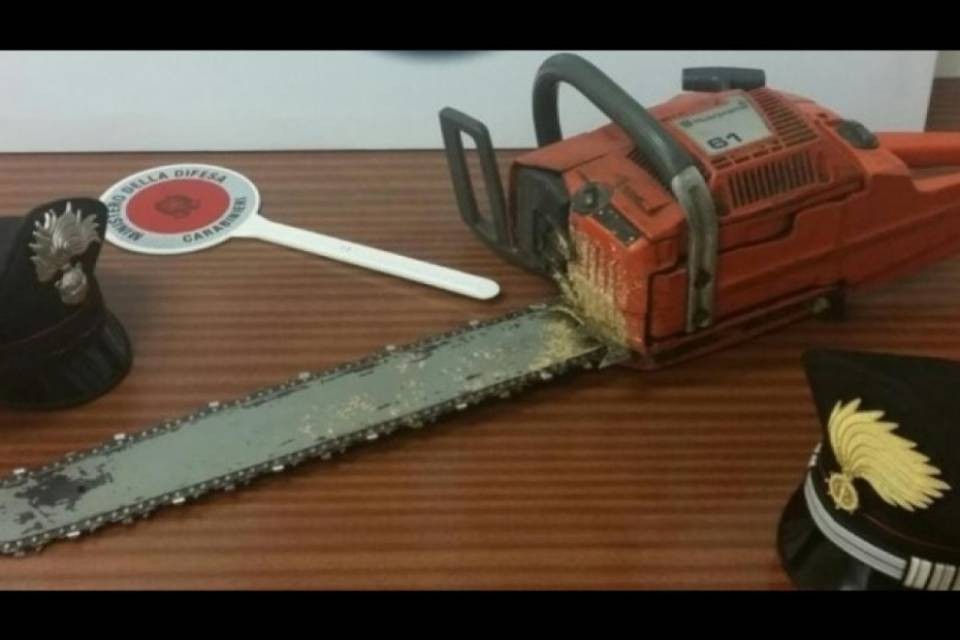 Frontaliere semina il panico con una motosega