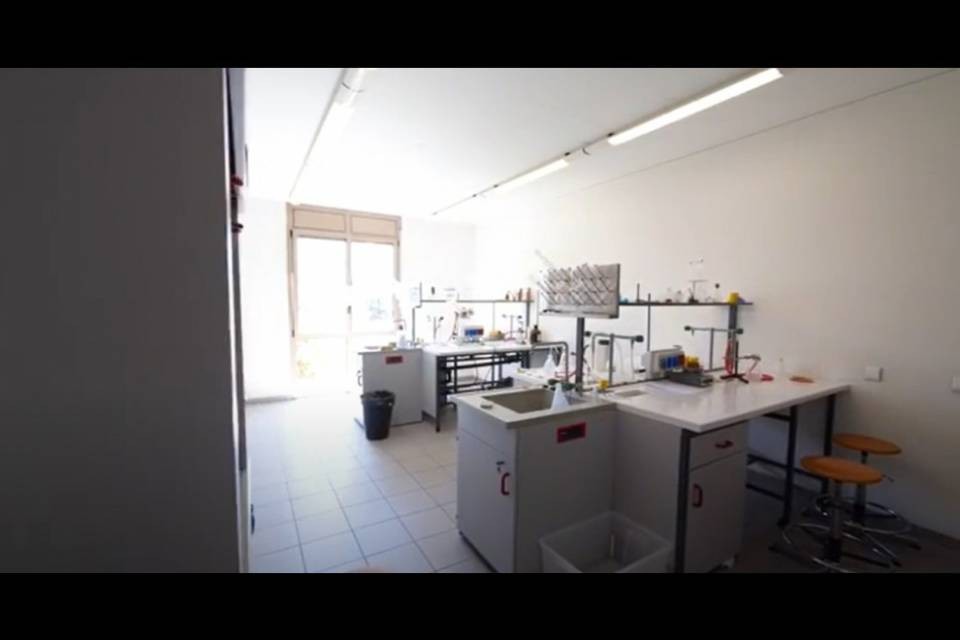 Grande successo per l'Open Day online del Collegio Papio