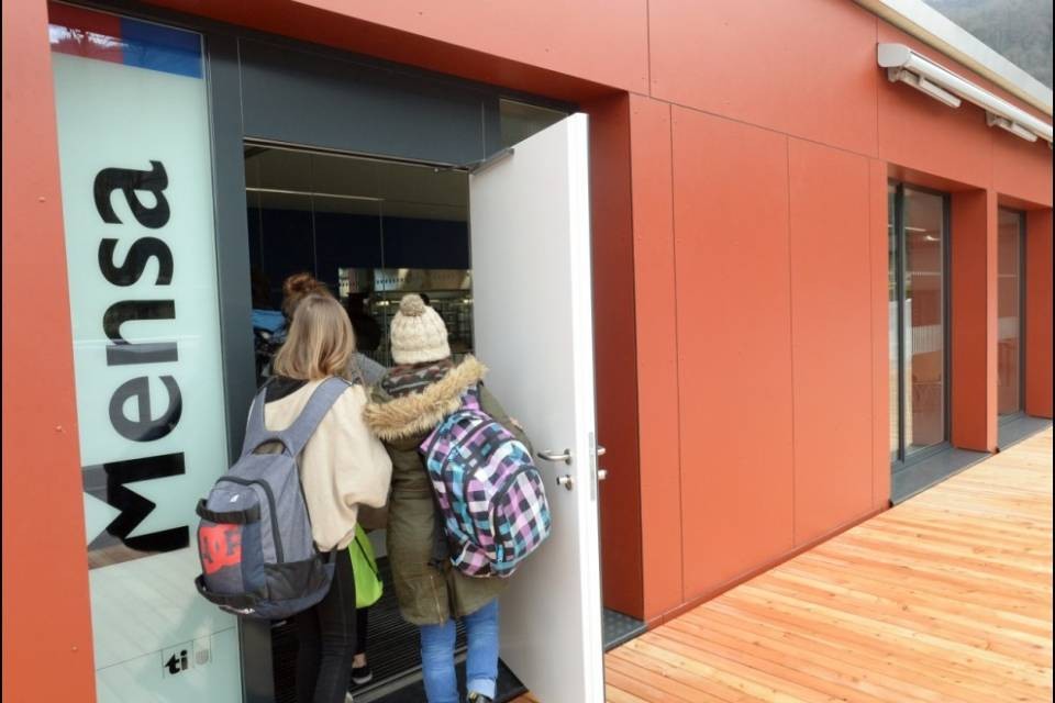 I percorsi scolastici e professionali dalla scuola media in poi