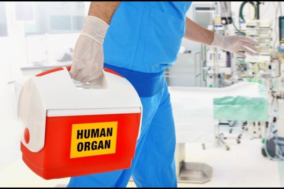 Donazione organi: "Sì a consenso presunto ma con limiti"