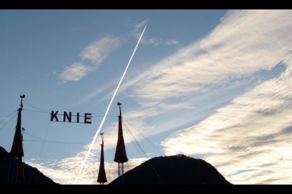 Rilasciato l'artista del Knie