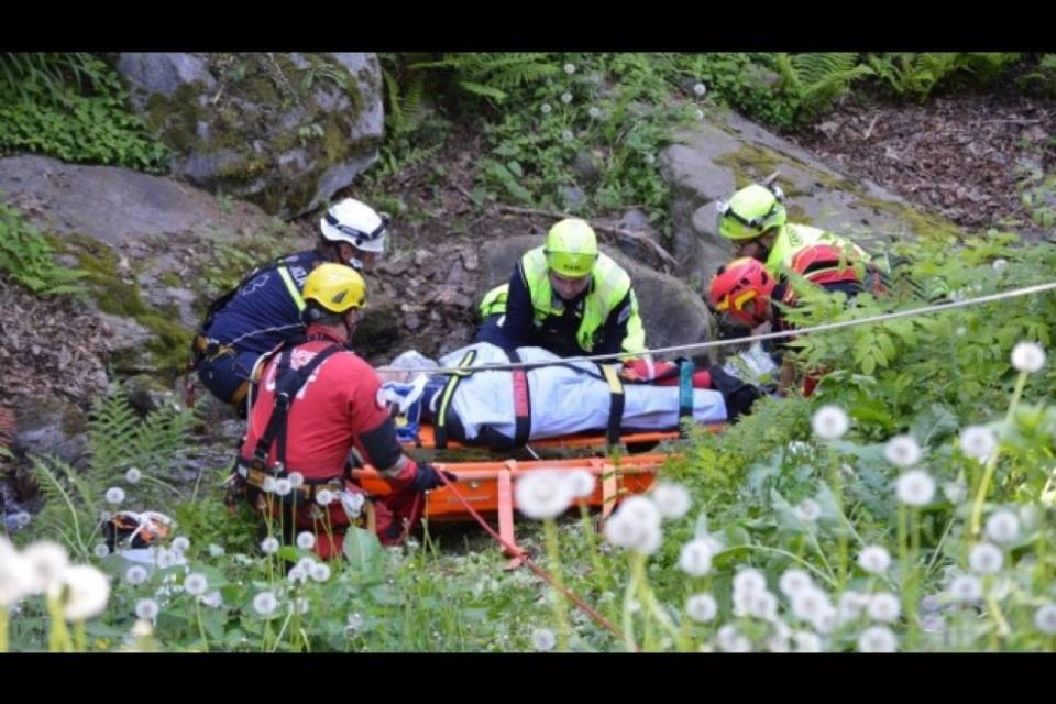 Cade in una scarpata mentre rastrella il prato a Cadenazzo