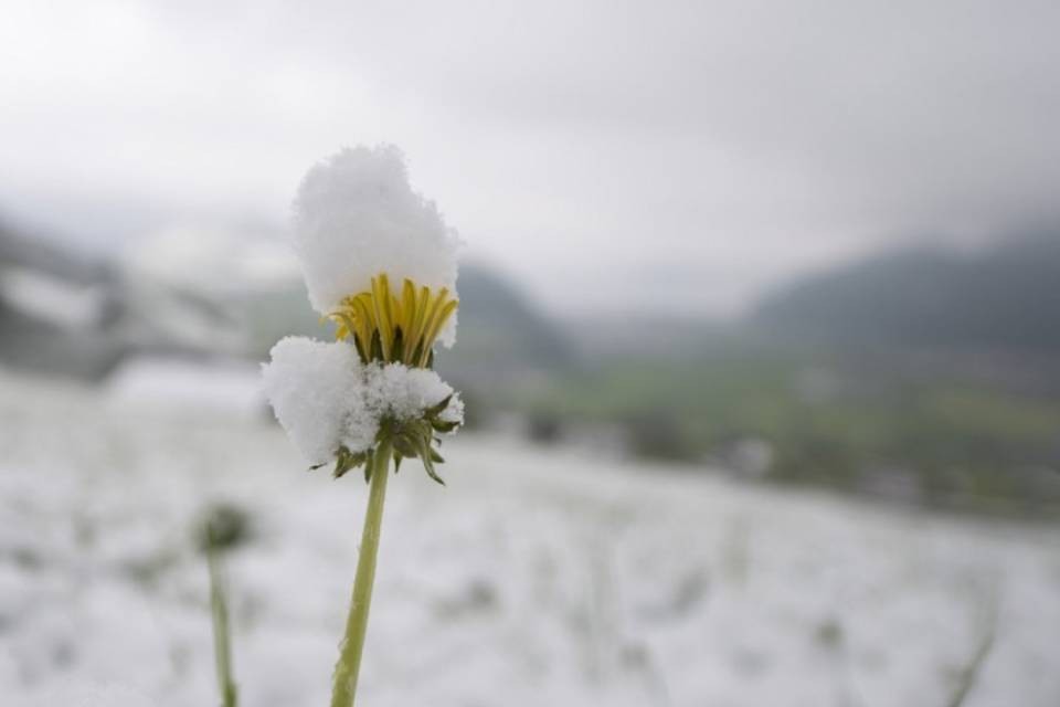 Nuovo record di freddo in Svizzera: -12,9°