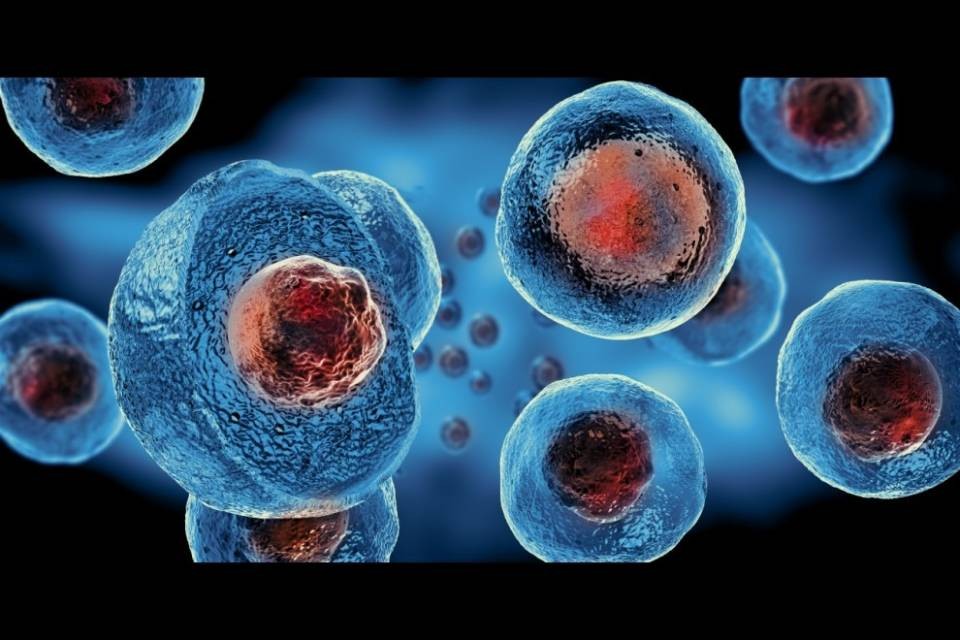 CryoSave nel mirino della giustizia elvetica